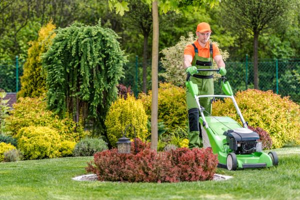 Yard Service in Upper Marlboro
