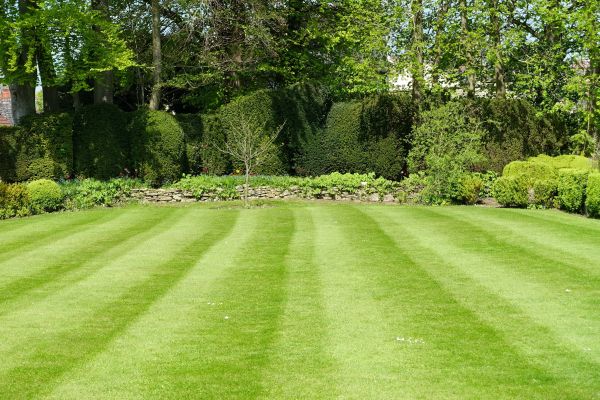 Grass Care Service in Upper Marlboro