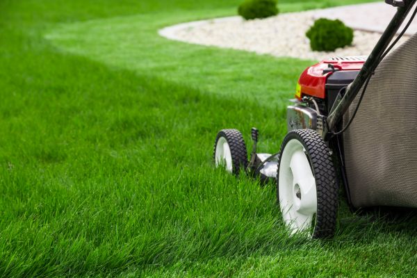 Lawn Service in Upper Marlboro
