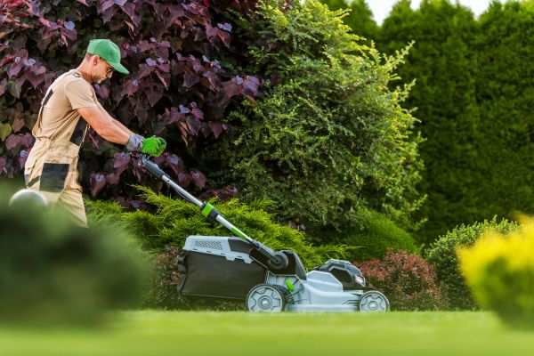 Lawn Management in Upper Marlboro