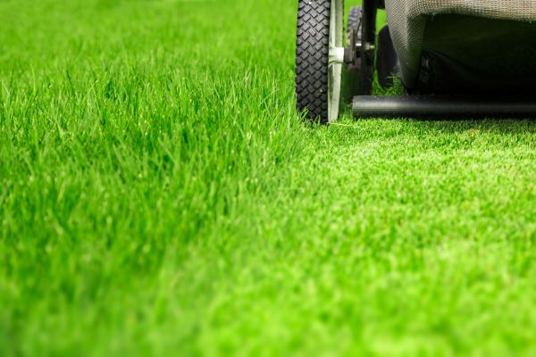 Weekly Lawn Care in Upper Marlboro