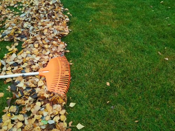 Fall Lawn Care in Upper Marlboro