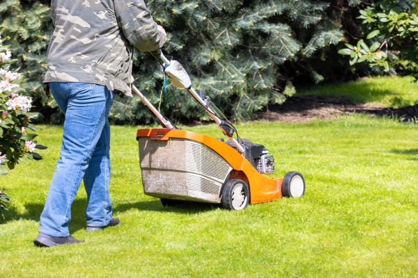 Springtime Lawn Care in Upper Marlboro
