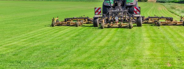 Industrial Grass Cutting