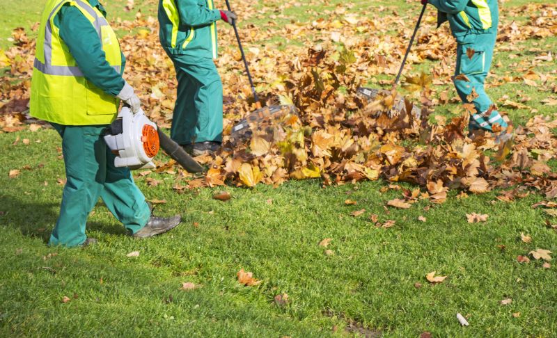 Seasonal Leaf Cleanup